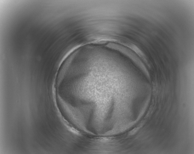 X0000066950814200604071937