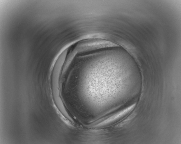 X0000066950816200604071937