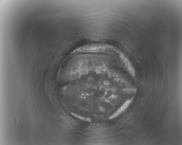 X0000066950817200604071936