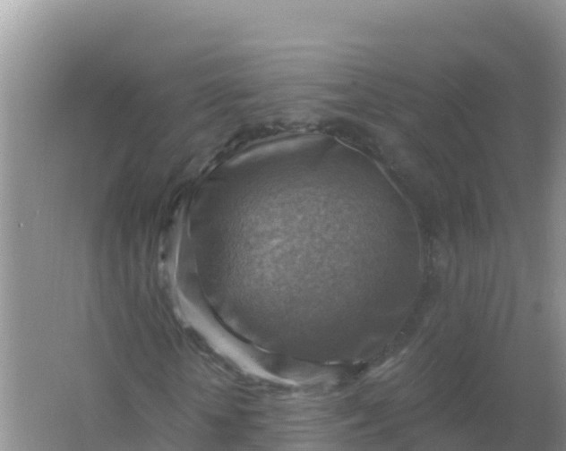 X0000066950818200604071936