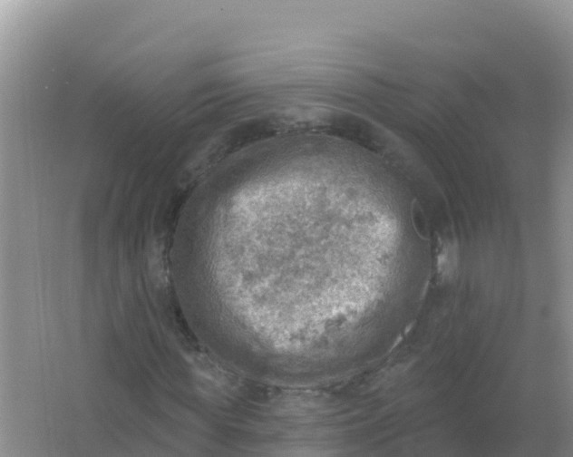 X0000066950819200604071936