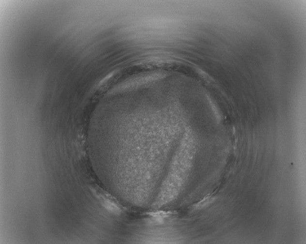 X0000066950822200604071936