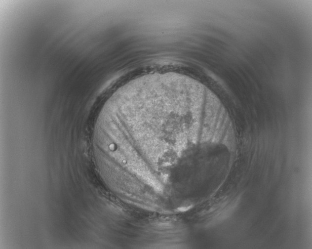 X0000066950823200604071936