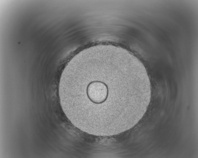 X0000066950824200604071936