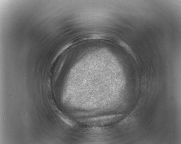 X0000066950827200604071936