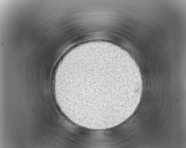 X0000066950828200604071936