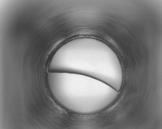 X0000066950829200604071936