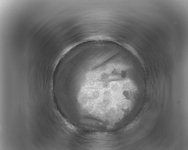 X0000066950831200604071936