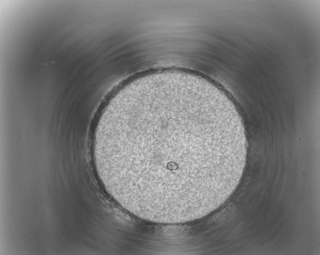 X0000066950832200604071936