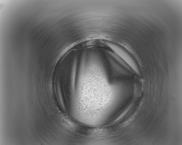 X0000066950834200604071936