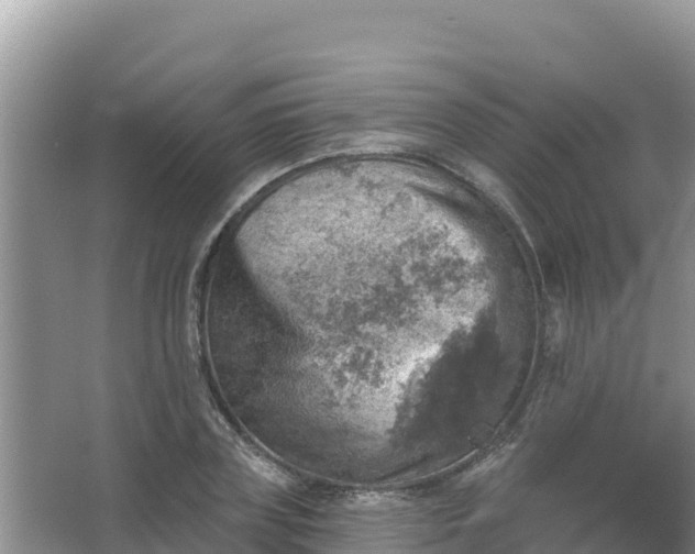 X0000066950835200604071936