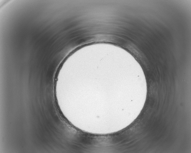 X0000066950836200604071936