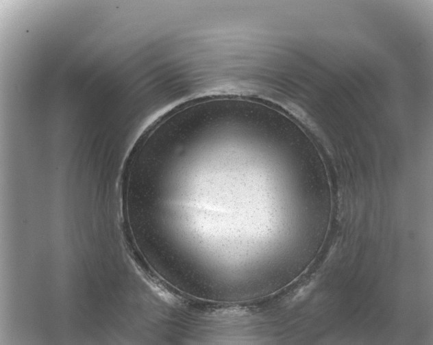 X0000066950838200604071936