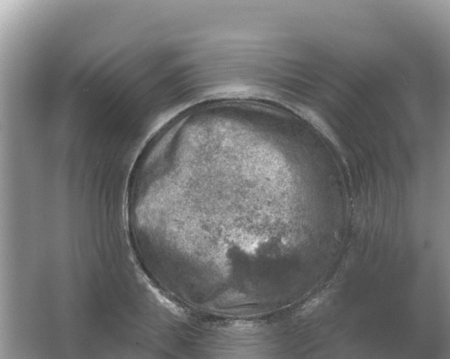 X0000066950839200604071936