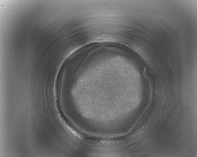 X0000066950840200604071936