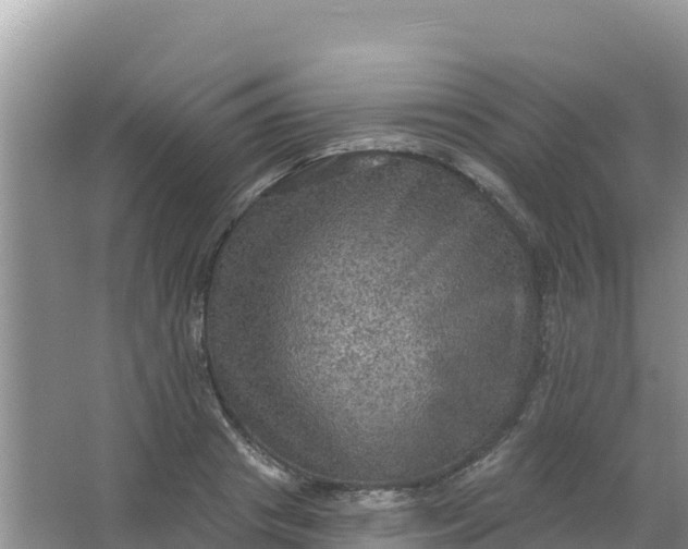 X0000066950841200604071936