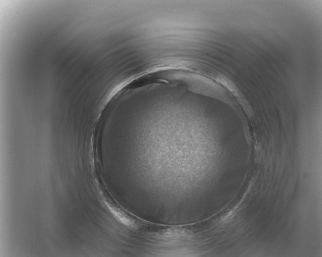 X0000066950842200604071936