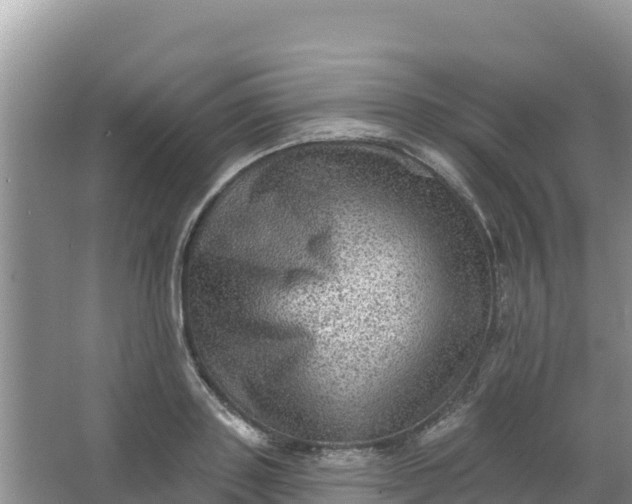 X0000066950843200604071936