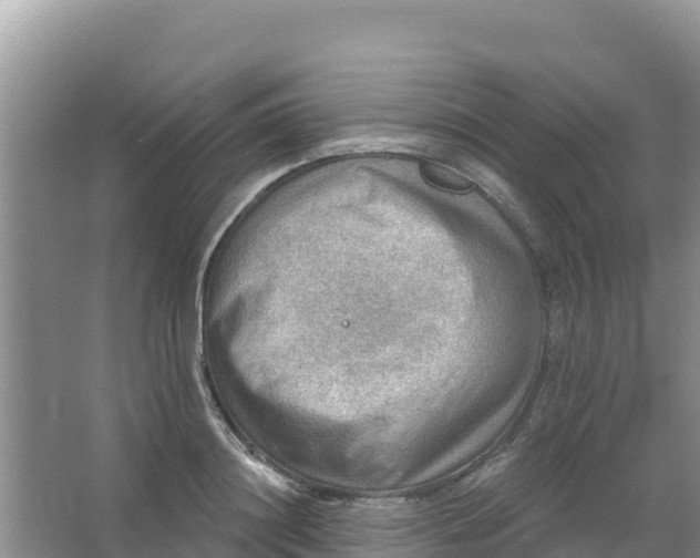 X0000066950844200604071936