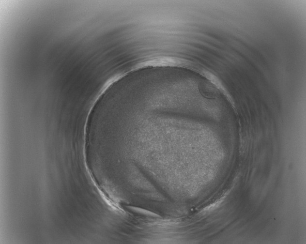 X0000066950845200604071936