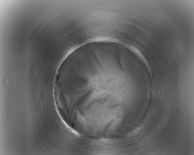 X0000066950847200604071936