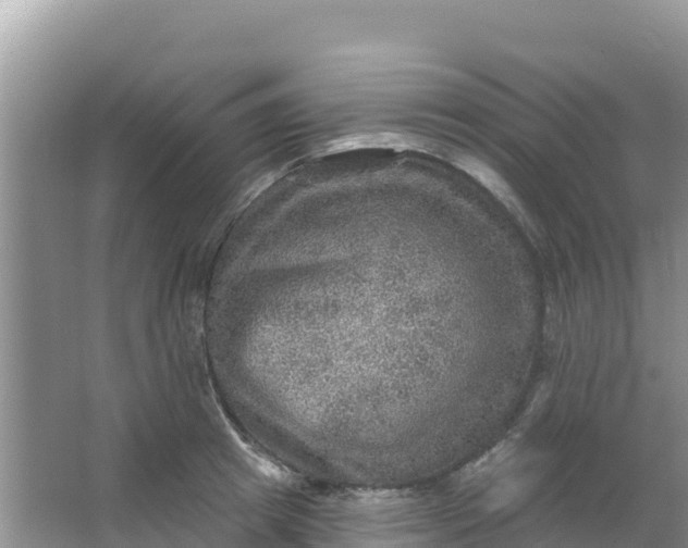 X0000066950849200604071936