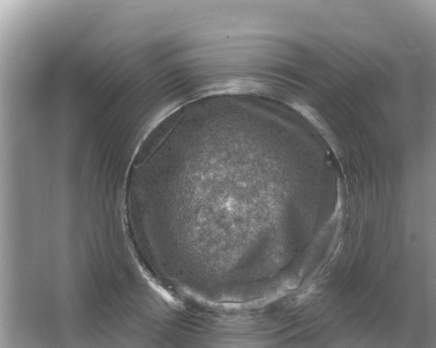 X0000066950850200604071936