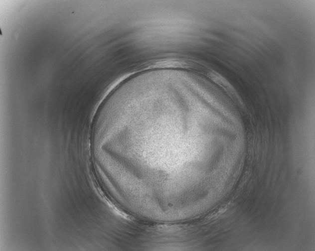 X0000066950852200604071936