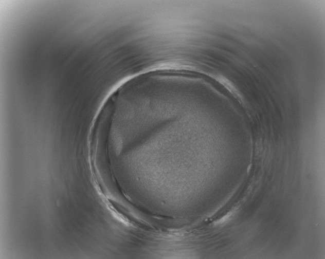 X0000066950854200604071936