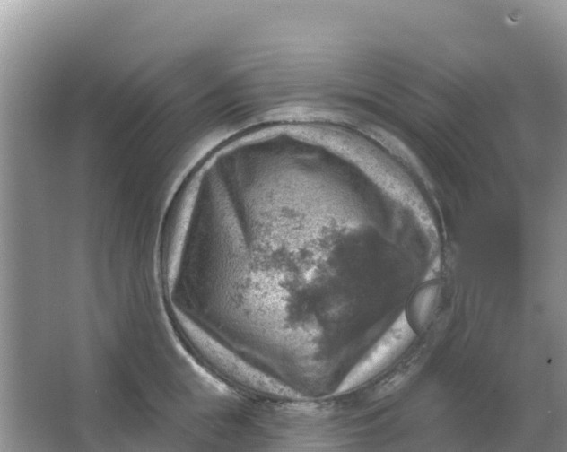 X0000066950855200604071936