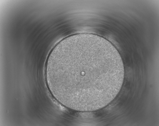 X0000066950856200604071936