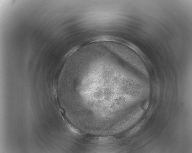 X0000066950857200604071936