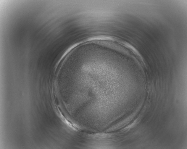 X0000066950860200604071936