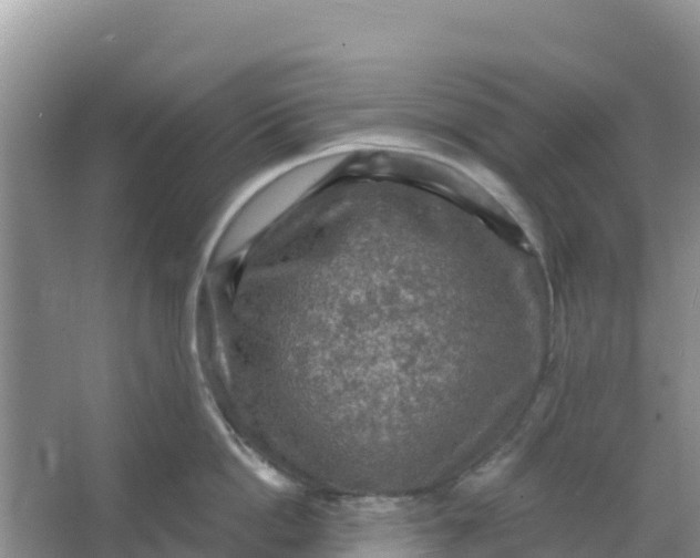 X0000066950862200604071937