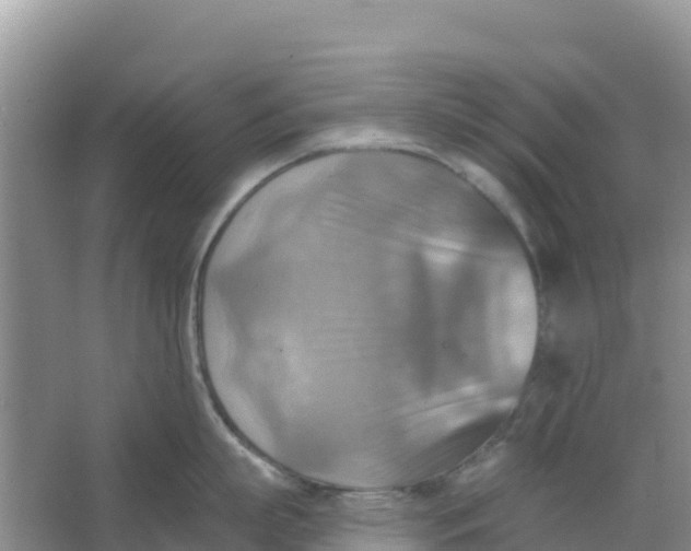 X0000066950863200604071937