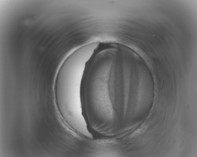 X0000066950864200604071937