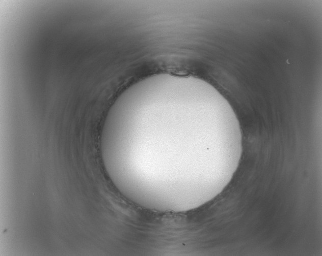 X0000066950865200604071936