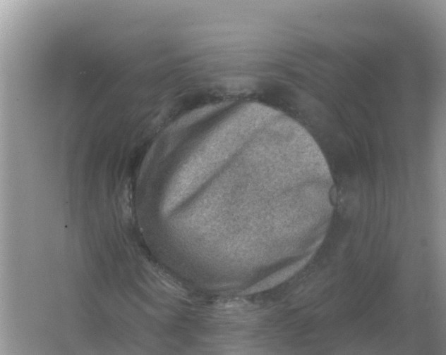 X0000066950866200604071936