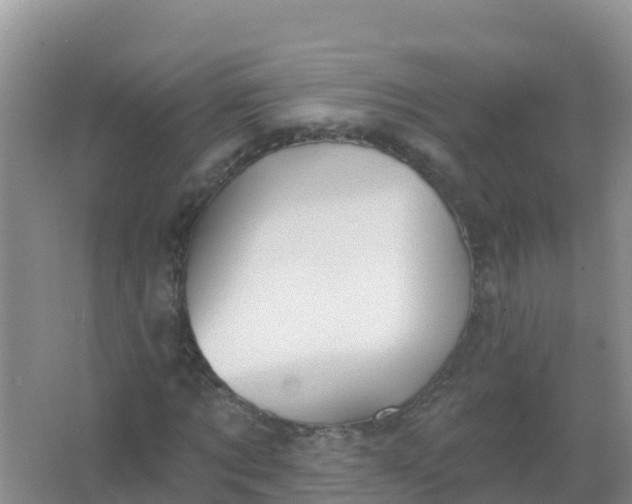 X0000066950869200604071936