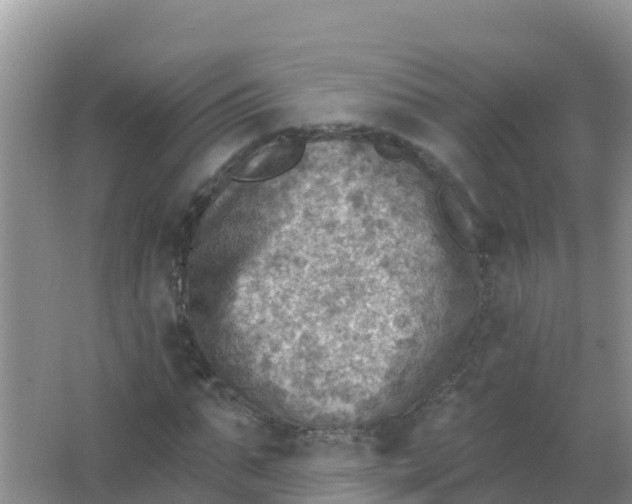 X0000066950871200604071936