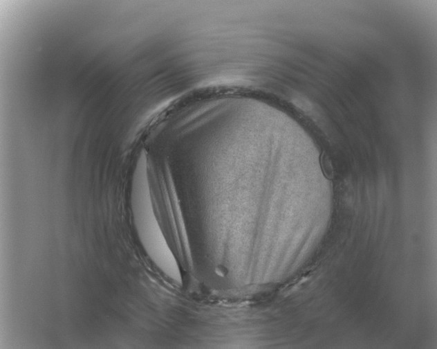 X0000066950872200604071936