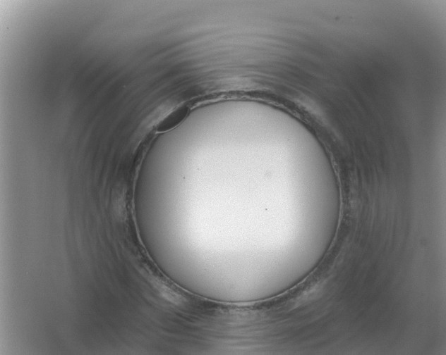 X0000066950873200604071936