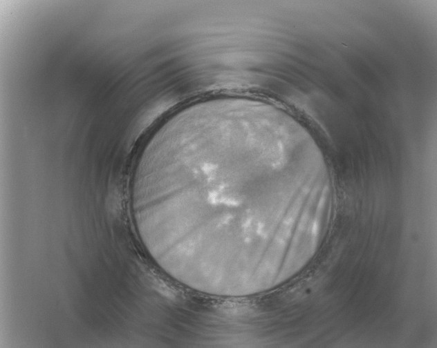 X0000066950874200604071936