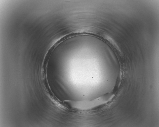 X0000066950876200604071936