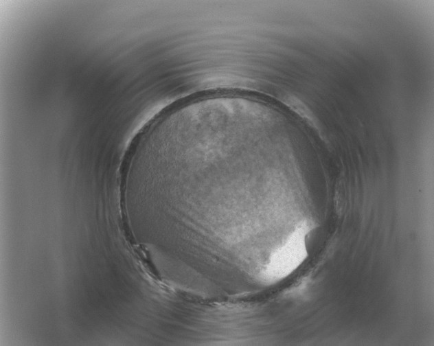 X0000066950877200604071936