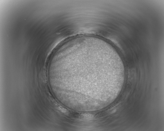 X0000066950878200604071936