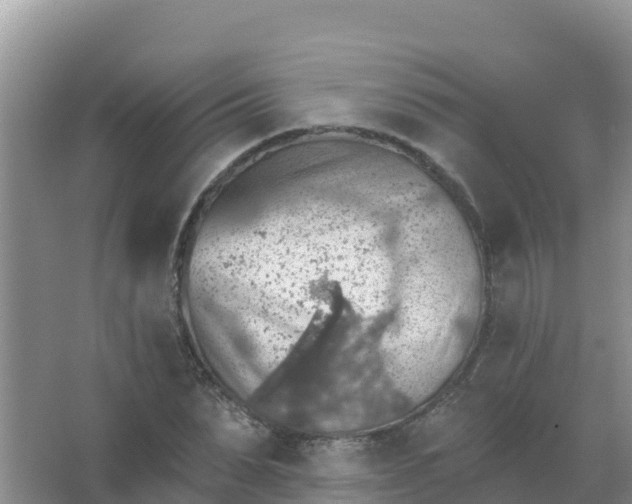 X0000066950879200604071935