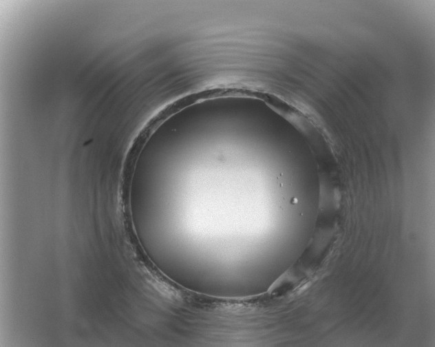 X0000066950880200604071935