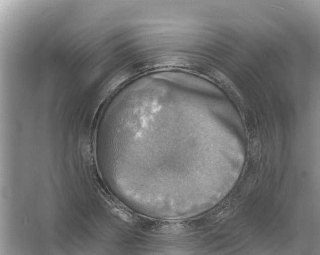 X0000066950882200604071935