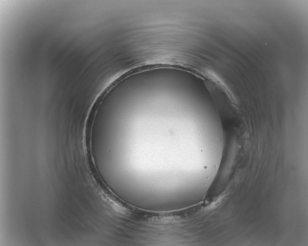 X0000066950884200604071935